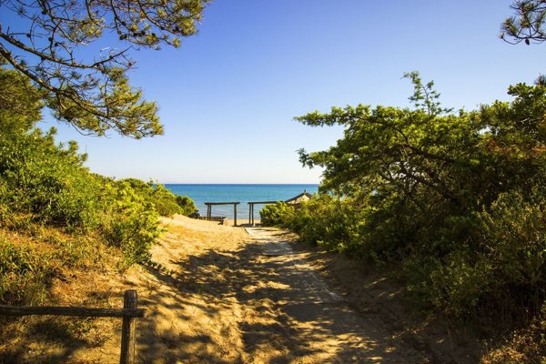 casa indipendente in affitto a Castiglione della Pescaia in zona Roccamare