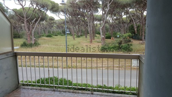 appartamento in affitto a Castiglione della Pescaia