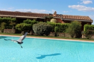 casa indipendente in affitto a Castiglione della Pescaia