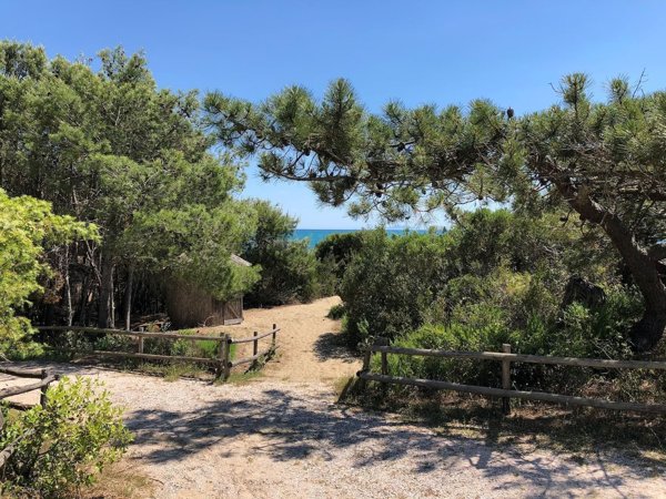 pentavano in affitto a Castiglione della Pescaia in zona Roccamare