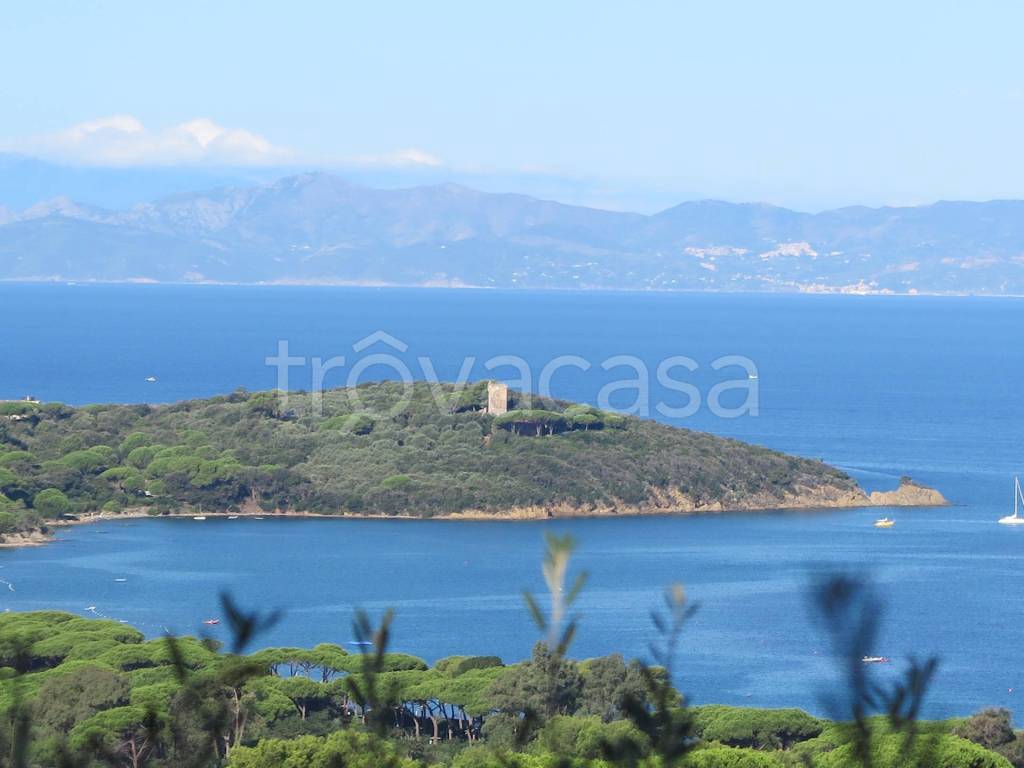 appartamento in affitto a Castiglione della Pescaia in zona Punta Ala