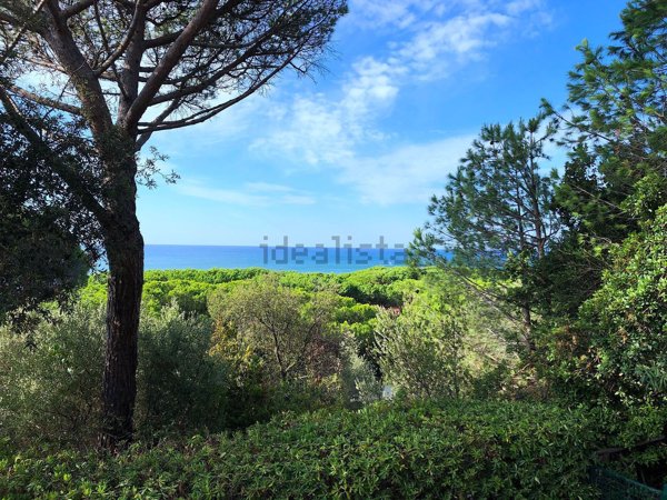 appartamento in affitto a Castiglione della Pescaia