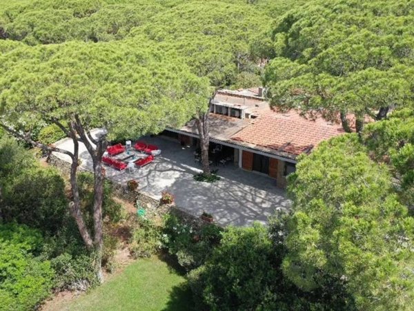 casa indipendente in affitto a Castiglione della Pescaia in zona Roccamare
