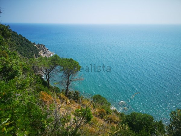 appartamento in affitto a Castiglione della Pescaia in zona Punta Ala