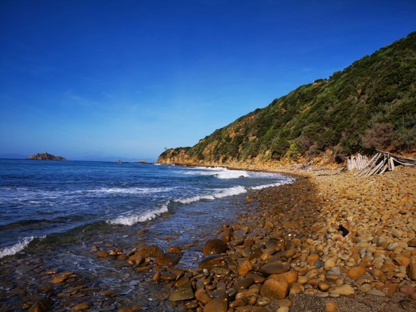 appartamento in affitto a Castiglione della Pescaia in zona Punta Ala