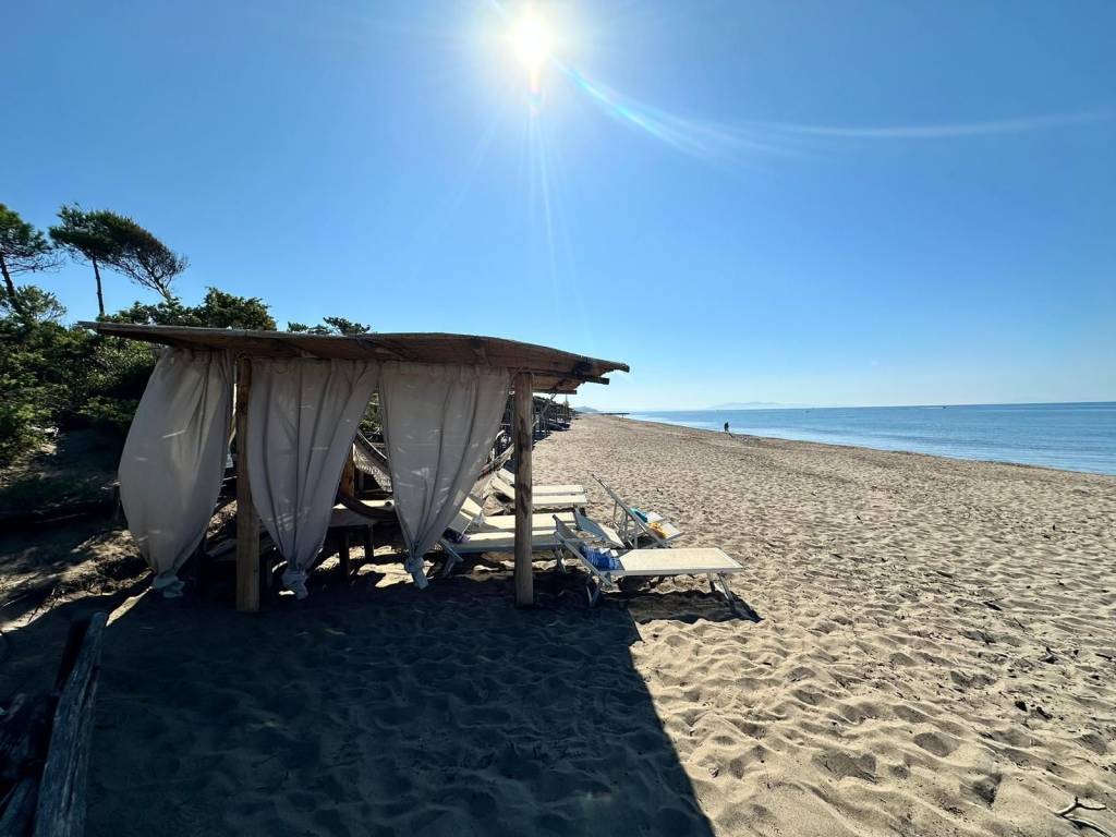 casa indipendente in affitto a Castiglione della Pescaia in zona Roccamare