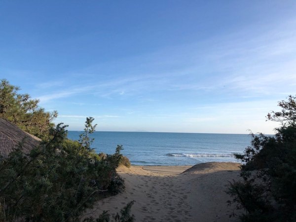 casa indipendente in affitto a Castiglione della Pescaia in zona Roccamare