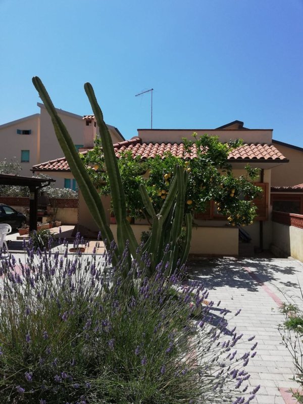 appartamento in affitto a Castiglione della Pescaia