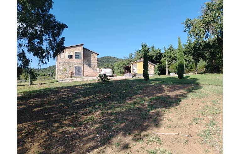 appartamento in affitto a Castiglione della Pescaia in zona Ampio