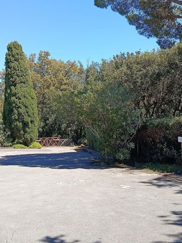 appartamento in affitto a Castiglione della Pescaia in zona Punta Ala