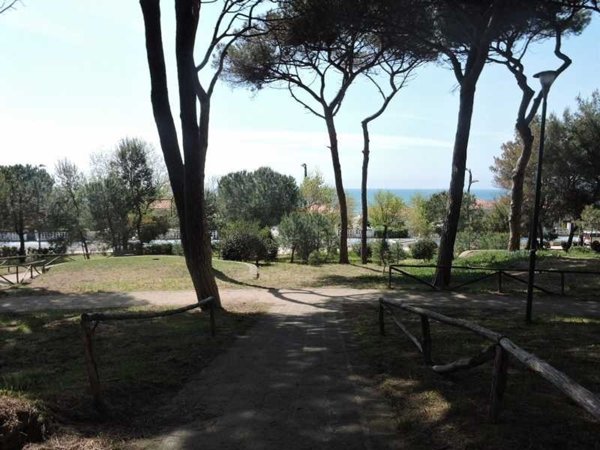 casa indipendente in affitto a Follonica