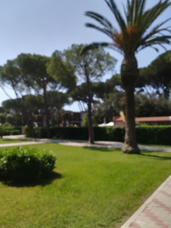 casa indipendente in affitto a Follonica