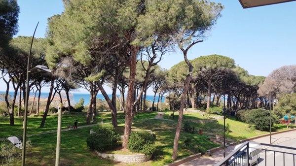 appartamento in affitto a Follonica