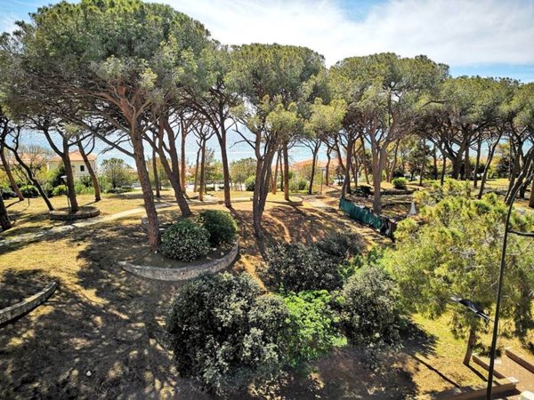 appartamento in affitto a Follonica