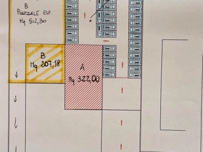 negozio in affitto a Follonica
