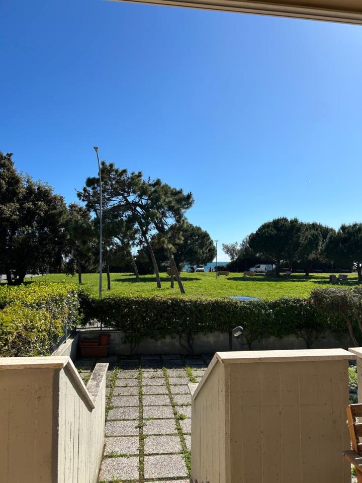 immagine annuncio 0 di 15