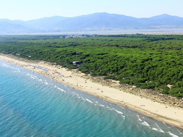 appartamento in affitto a Follonica