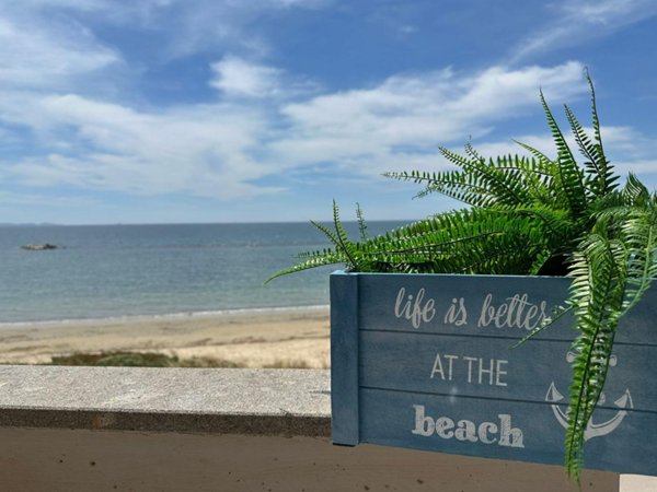 appartamento in affitto a Follonica