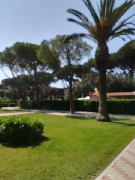 appartamento in affitto a Follonica