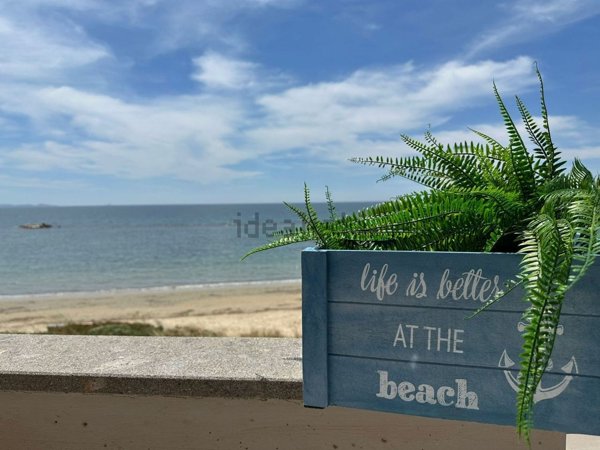 appartamento in affitto a Follonica