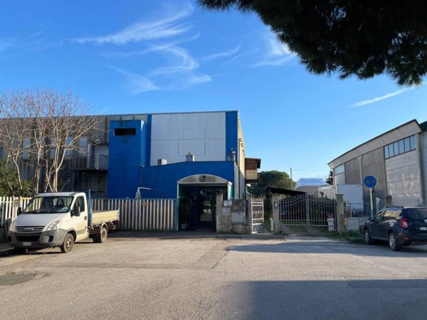 negozio in affitto a Grosseto in zona Marina di Grosseto