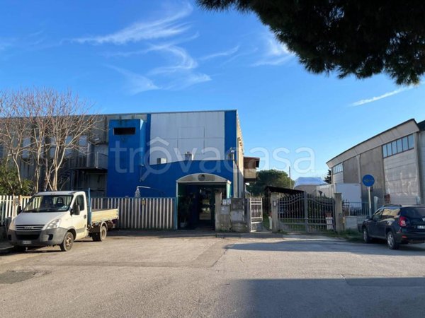 appartamento in affitto a Grosseto in zona La Principina