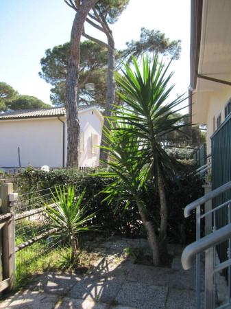 appartamento in affitto a Grosseto in zona Marina di Grosseto