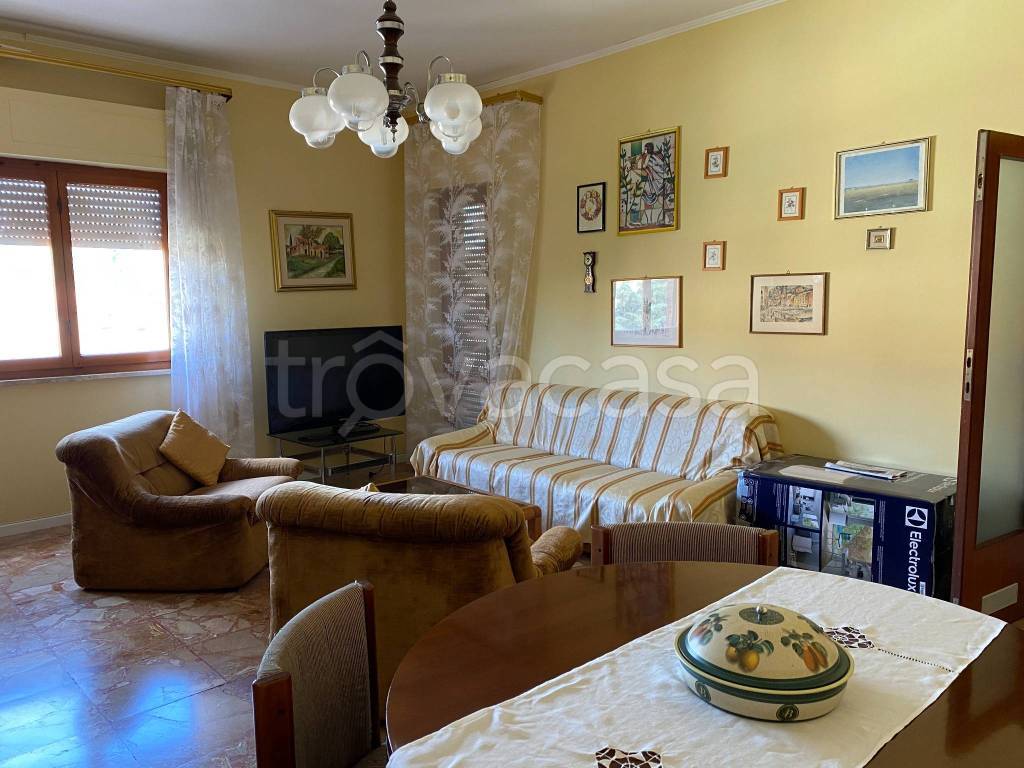 appartamento in affitto a Grosseto