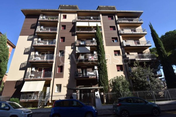 appartamento in affitto a Grosseto