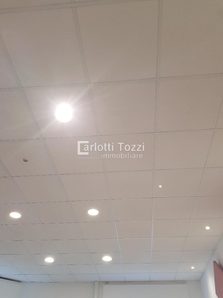 appartamento in affitto a Grosseto