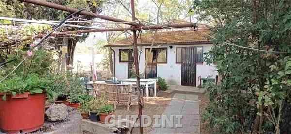 appartamento in affitto a Grosseto in zona Roselle