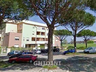 appartamento in affitto a Grosseto