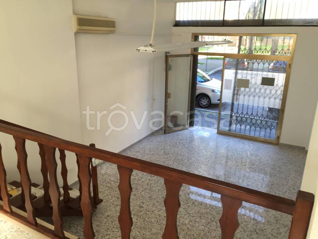 negozio in affitto a Grosseto