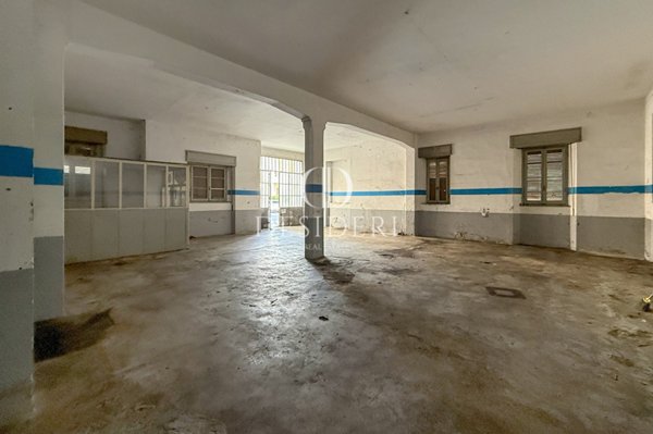 loft in affitto a Grosseto in zona Centro Città