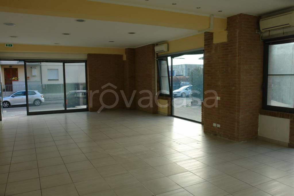 bivano in affitto a Grosseto