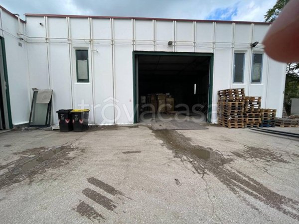 locale commerciale in affitto a Grosseto in zona Rugginosa Nuova