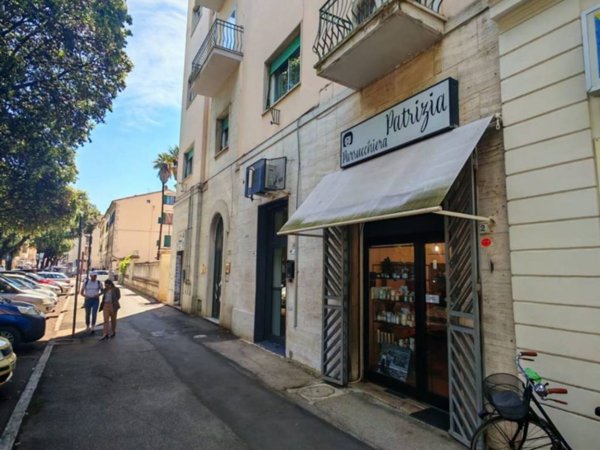 negozio in affitto a Grosseto in zona Centro Raccolta Quadrupedi