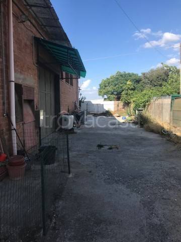 locale commerciale in affitto a Grosseto in zona Marina di Grosseto