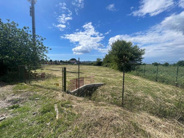 terreno in affitto a Grosseto