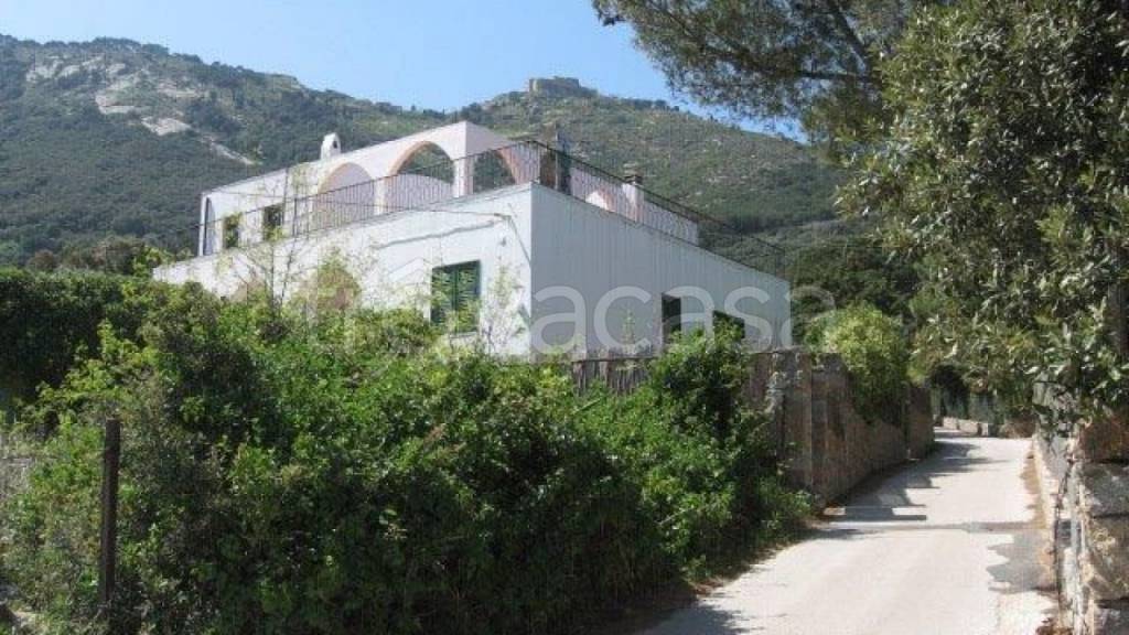 appartamento in affitto ad Isola del Giglio
