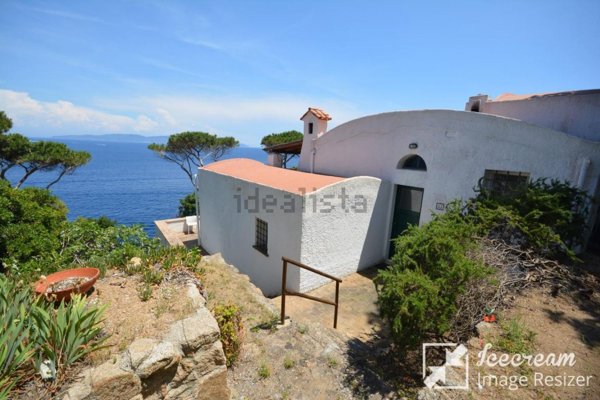 casa indipendente in affitto ad Isola del Giglio