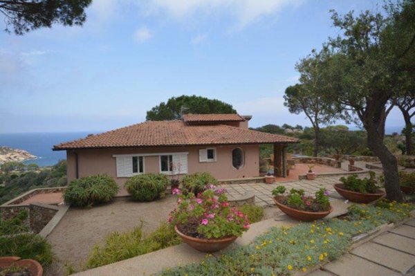 casa indipendente in affitto ad Isola del Giglio in zona Giglio Porto