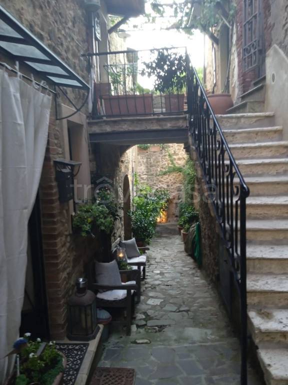 appartamento in affitto a Manciano in zona Montemerano