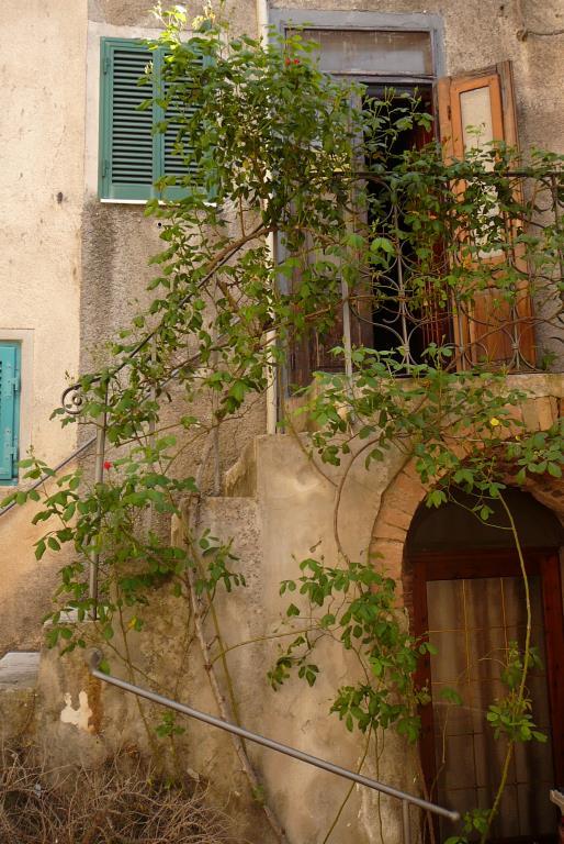 appartamento in affitto a Manciano