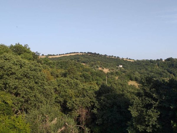 appartamento in affitto a Manciano in zona Capanne