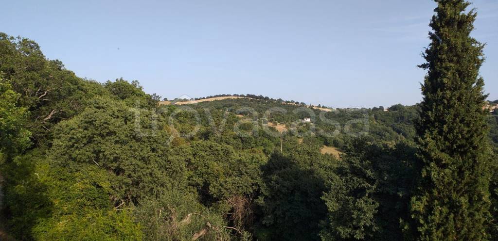 appartamento in affitto a Manciano in zona Saturnia