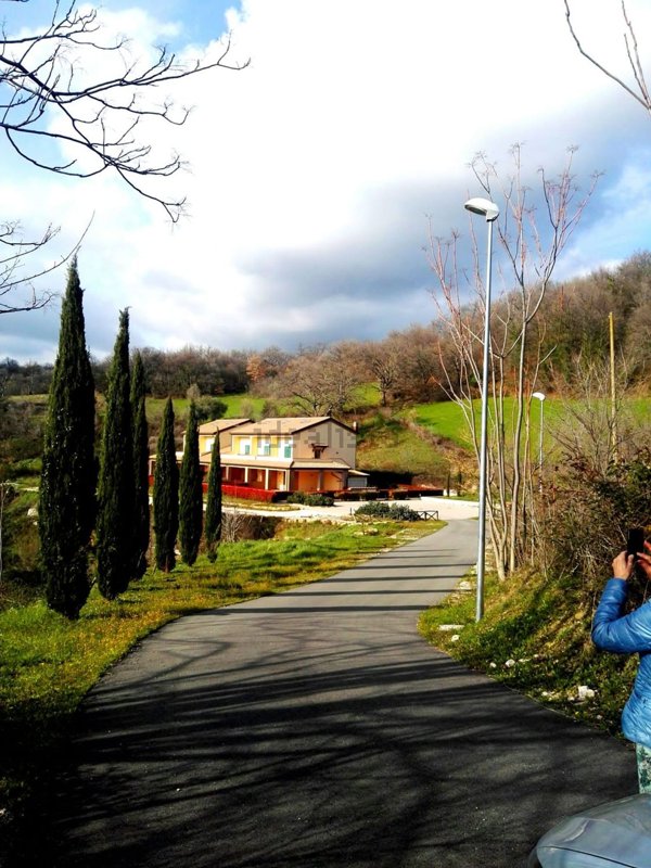 appartamento in affitto a Manciano in zona Saturnia