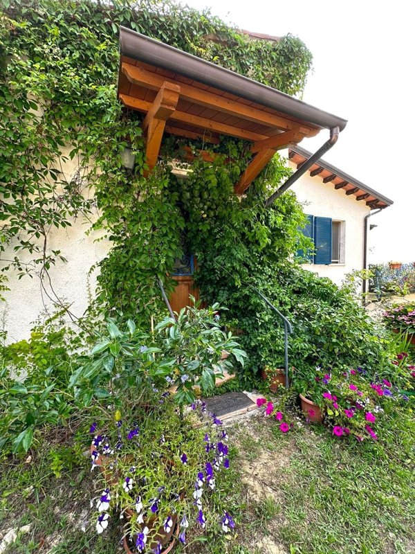 casa indipendente in affitto a Manciano in zona Poggio Murella