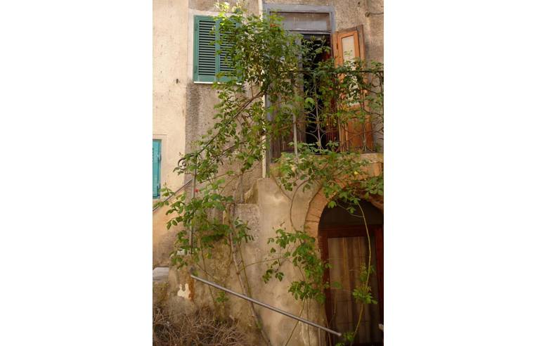 appartamento in affitto a Manciano