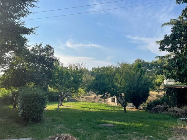 casa indipendente in affitto a Manciano
